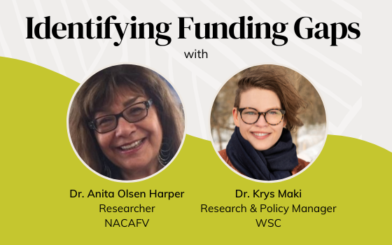 NACAFV and WSC Research Study on Funding Parity in VAW and VAIW Shelters