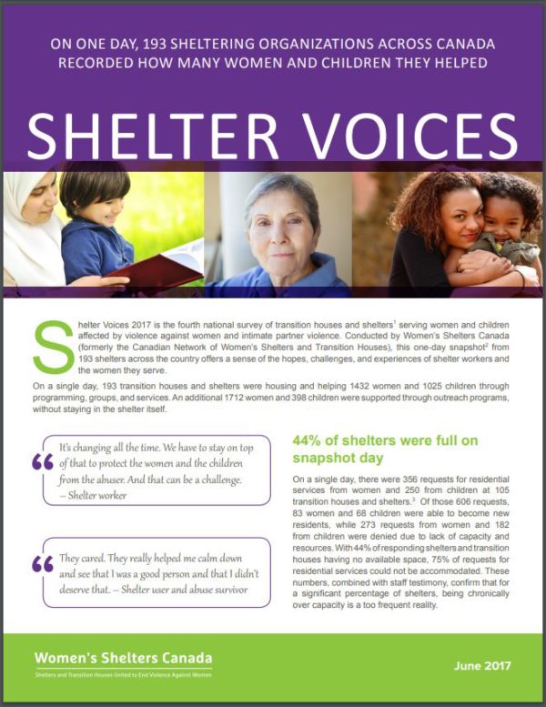 Shelter Voices 2017. Sub-theme: Technology-Enabled Abuse