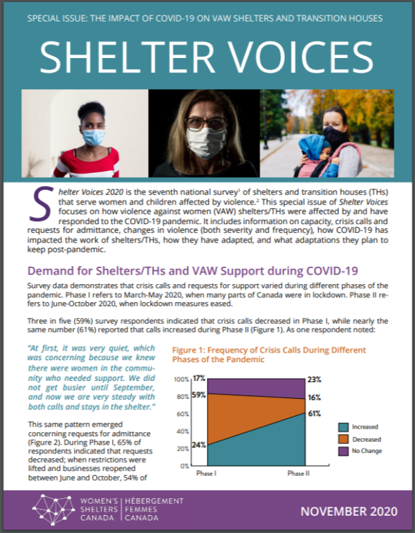 Shelter Voices 2020. Sub-theme: VAW Shelters and COVID-19